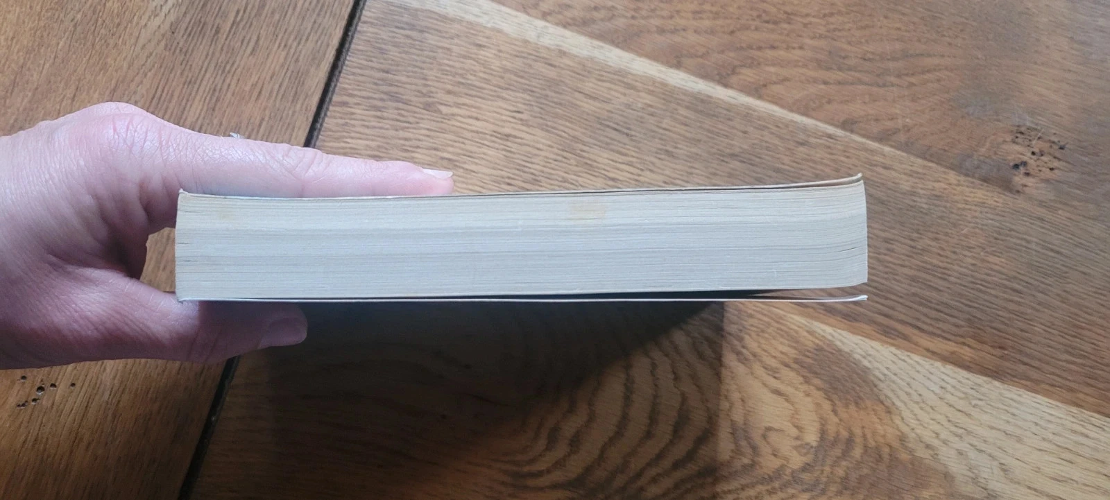 O fascínio do mal livro em espanhol – photo 4